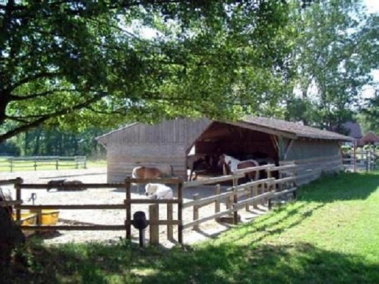 Ferien- Und Reiterhof Klein *